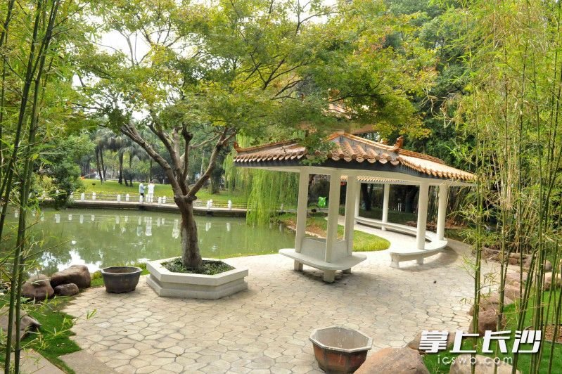 漂亮!湖南烈士公园曹芳园新开。